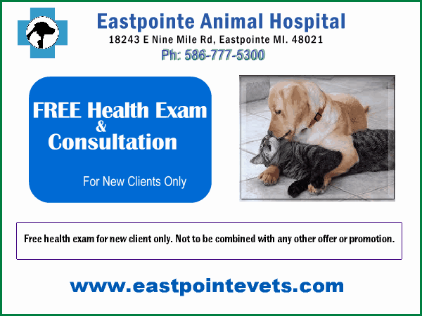 Free_Exam_coupon_Eastpointe_Animal _Hospital